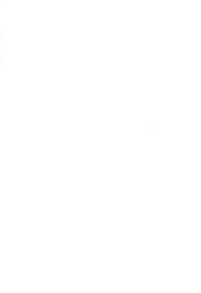 (C71) [Nagehame (Riro, Takasu)] Nagehame Yokochou (Animal Yokochou)