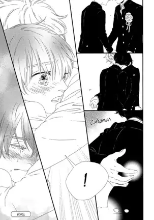 The Daydreamer Falls in Love