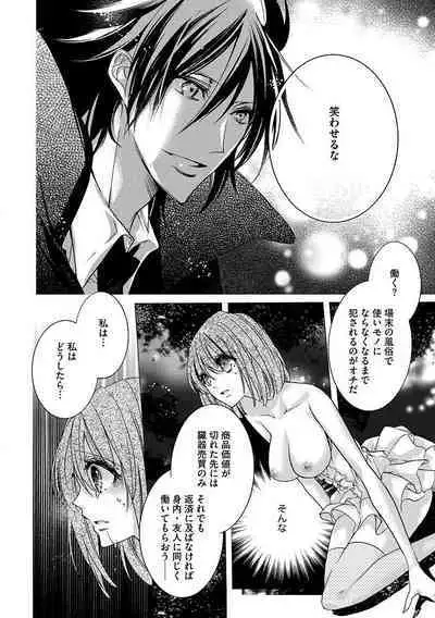 鬼畜兄弟の悶絶調教~私はいいなり奴隷~