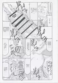 (C87) [Abarenbow Tengu (Izumi Yuujiro)] Kotori 11 (Fate/stay night) [Chinese] [个人汉化]