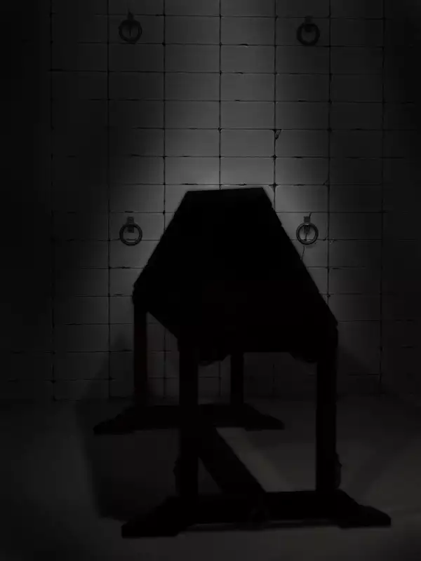 H.S.C. Illustration Collection Ex.4