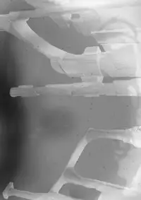 [Saki Chisuzu] Fantasy H [Digital]