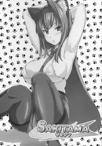 (C73) [Shinjugai (Takeda Hiromitsu)] Sakitama (Arcana Heart)