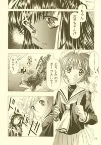 (CR27)[Hen Rei Kai (Kawarajima Kou)] Sakura Ame Soushuuhen (Card Captor Sakura)