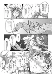 聖王妃 エルレイン(田宮秋人) Princess St