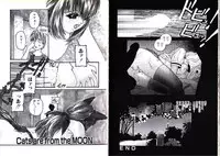 [Protonsaurus] Hikagyaku Sei Hannou