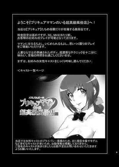 Mess Zylinder 15 PreCure Maman no Iru Chou Koukyuu Fuzokuten 2