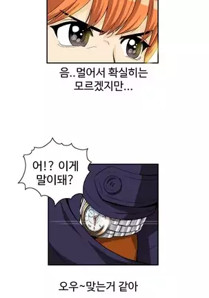 Chauffeur Service Ch.1-30.5