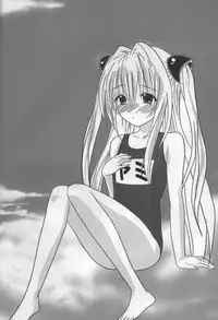 (C95) [Setsugetsuka (Fukukawa)] C95 To LOVE-Ru no Hon (To LOVE-Ru)