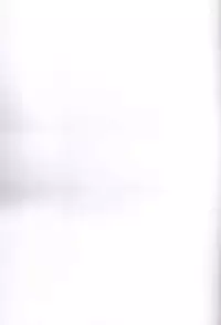 [Wingbinta (Yuu)] Boogie Woogie*Pine (Fresh Precure!)