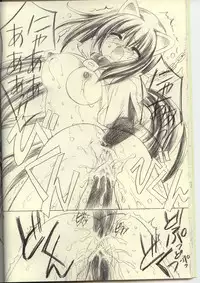 [UNISEX BLEND (Fujimiya Misuzu)] Ragnakko 3 (Ragnarok Online)