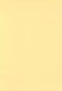 [Onmitsu Mushume (Kirikage Toppy)] Rizel 12-sai (Rizelmine)