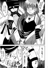 (C65) [Crimson (Carmine)] Shinshoku Soushuuhen (Black Cat)