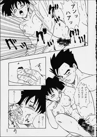 (C49) [Chirigami Goya / Fusuma Goten] Z (Dragonball)