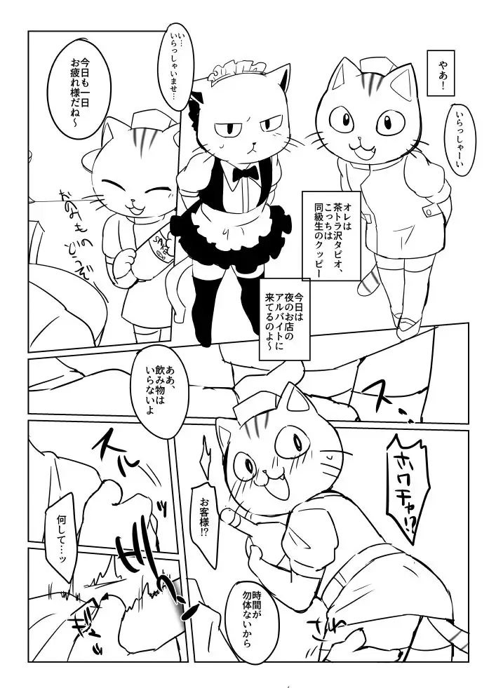 Working at an evening store