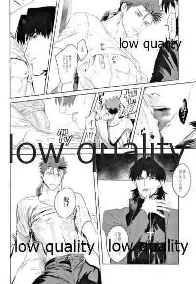 (SUPER26) [Muri Yari (Gibachi)] Hikari no Zou (Fate/stay night)