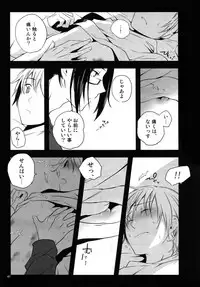 (C81) [QQaid (Nekoyama Kuro)] RECORD #01 (Durarara!!)