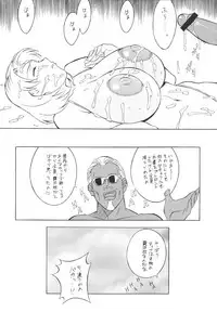 (CR33) [Rippadou (H-H)] H-H Soushuuhen 2 (Various)