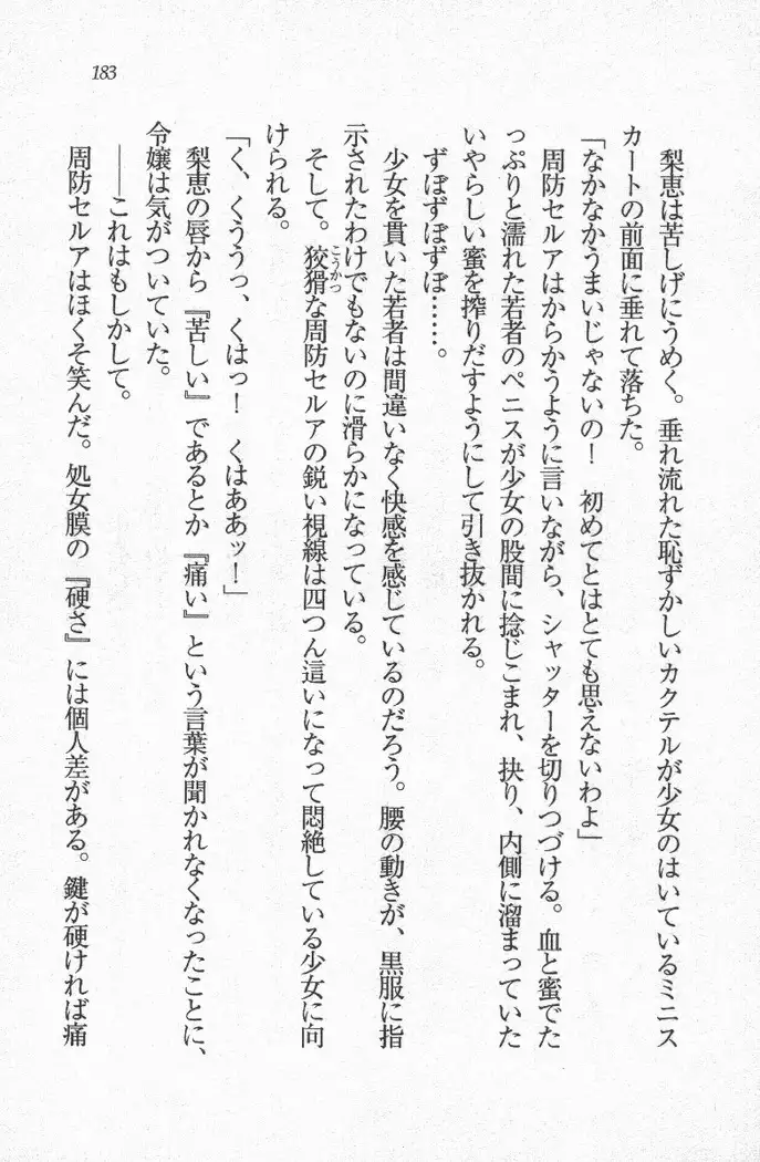 メイド喫茶　猫の隠れ家