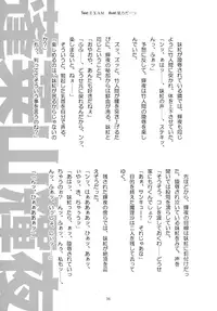 [Gutenberg no Musume (Hoshino Darts, KnightO Satoshi)] Max Spark! (Touhou Project)