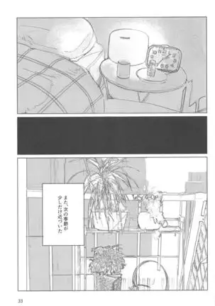 サザンカの咲く頃に