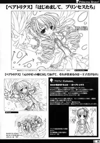 (C68) [StrayMoon (Miyama Zero)] Princess Brave! Jantaku no Kishi - Settei Gengashuu