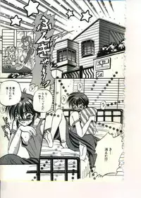 [Appleton] Fairy Paradise