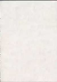 (CR31) [KEMOKOMOYA (Komori Kei)] puipuipu- sanshiki (Final Fantasy III)