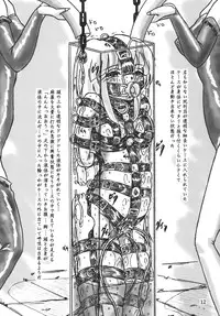 [Sumomo Dou (Sumomo EX)] Shikeishuu