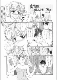 [WORKS-MARUMA (various)] ENAMEL