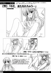 (C68) [StrayMoon (Miyama Zero)] Princess Brave! Jantaku no Kishi - Settei Gengashuu