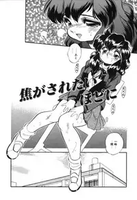 [Tomozawa Shou] Mitsuiro no Toki no Naka de