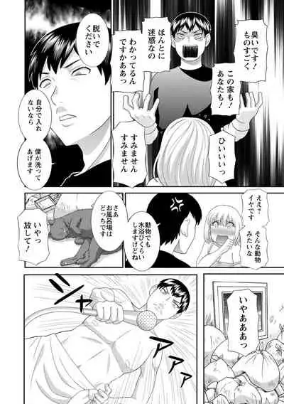 Innyu Shufu no Futei Ganbou