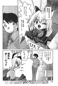 Men's Dolphin 2000-11 Vol. 15