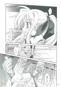 (C76) [PLUM (Kanna)] Mahou Shoujo Magical SEED TROUBLE (Mahou Shoujo Lyrical Nanoha)