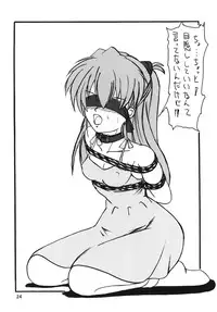 (C78) [Thirty Saver Street 2D Shooting (Various)] Second Soushingeki (Neon Genesis Evangelion)