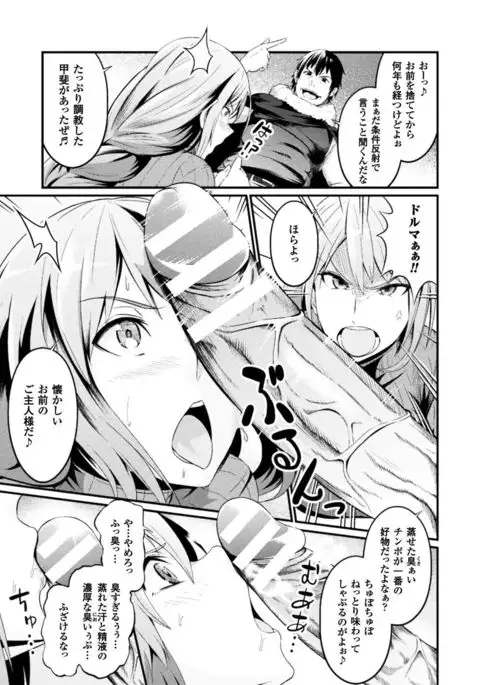 Seigi no Heroine Kangoku File Vol. 16