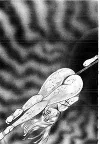 [Dirty Matsumoto] Yami no Ingyakushi