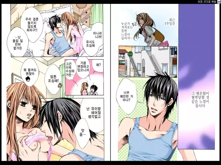 Naisho no Love Mariage | 비밀의 결혼