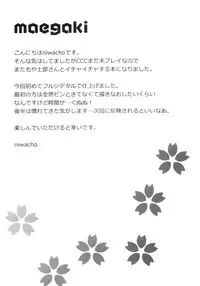 (C84) [TRIP SPIDER (niwacho)] cado2 (Fate/stay night) [Chinese]