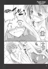 (CSP4) [Shimoyakedou (Ouma Tokiichi)] Purple Grape (Fate/stay night) [English] [SaHa]
