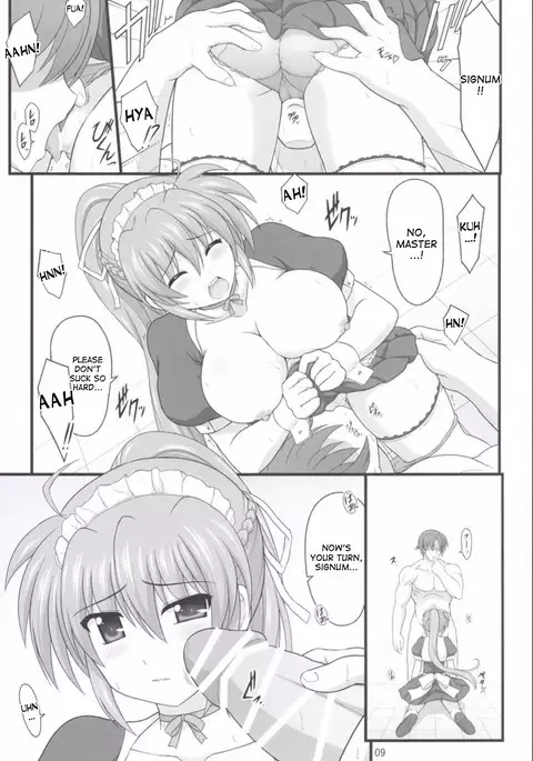 Rekka no Shou no Shitsukekata