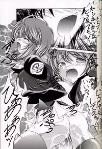 (C67) [Red Ribbon Revenger (Hayama, Makoushi)] Shouhou (Gundam Seed Destiny)