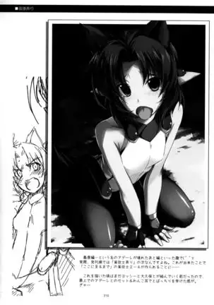 Musashi no Ijiraremonotachi no Soushuuhen II