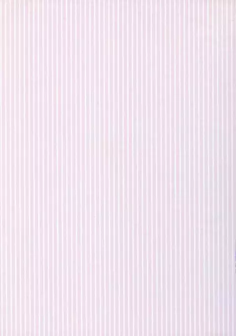 Yukiyanagi no Hon 10 Valkyrie no Hisoka na Tanoshimi