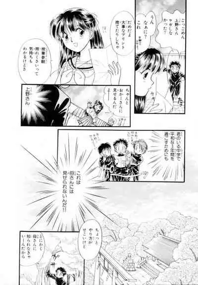 [Hikaru Nagareboshi] Seigi No Mikata Mo Raku Zya Nai