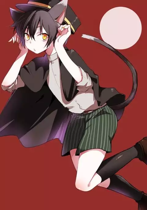 Nora Neko to Rainy Days {Shotachan}