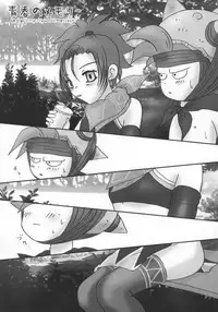 [Yangers (Yan Yan)] Shoujo Gerda no Fushigi no Dungeon (Dragon Quest VIII)