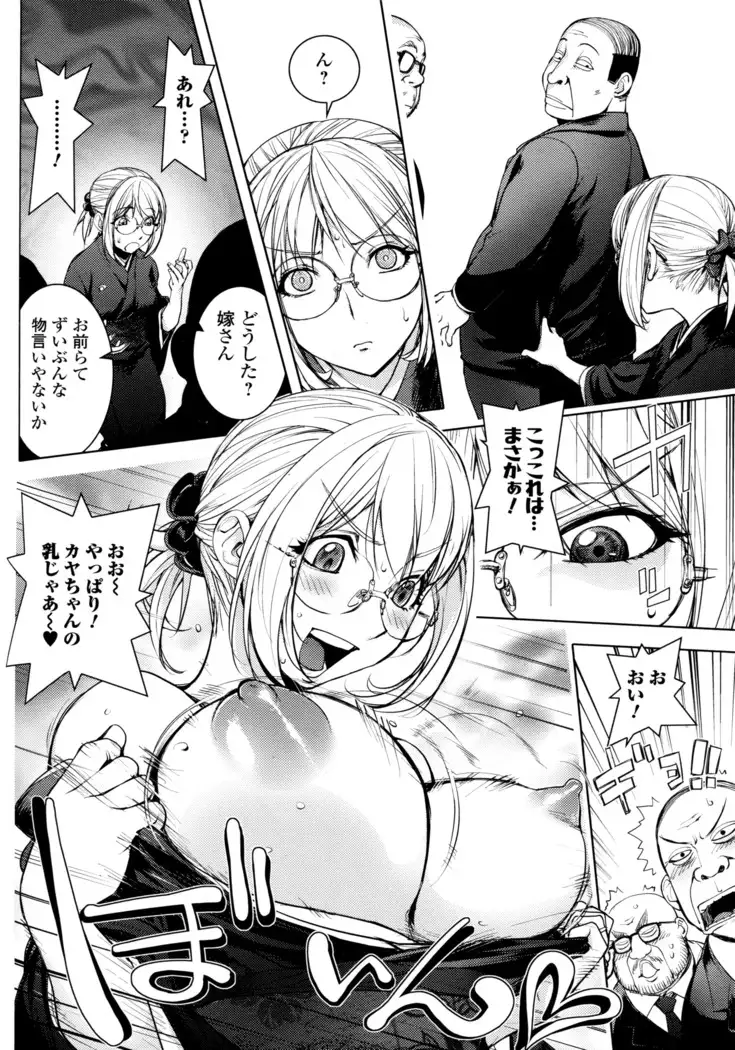 KayaNetori Kaya-Nee Series Aizou Ban