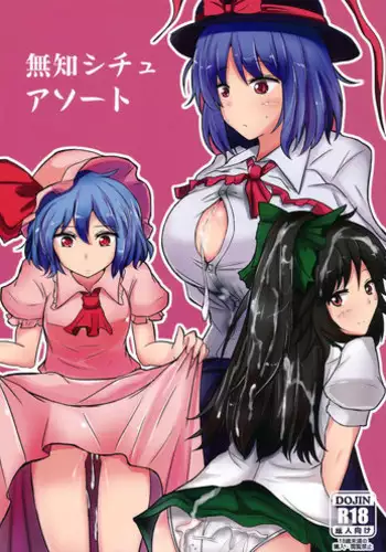 (C84) [Hakuginmokusei (Poshi)] Muchi Shichu Assort | Assorted Situations of Ignorance (Touhou Project) [English] {Gorem}